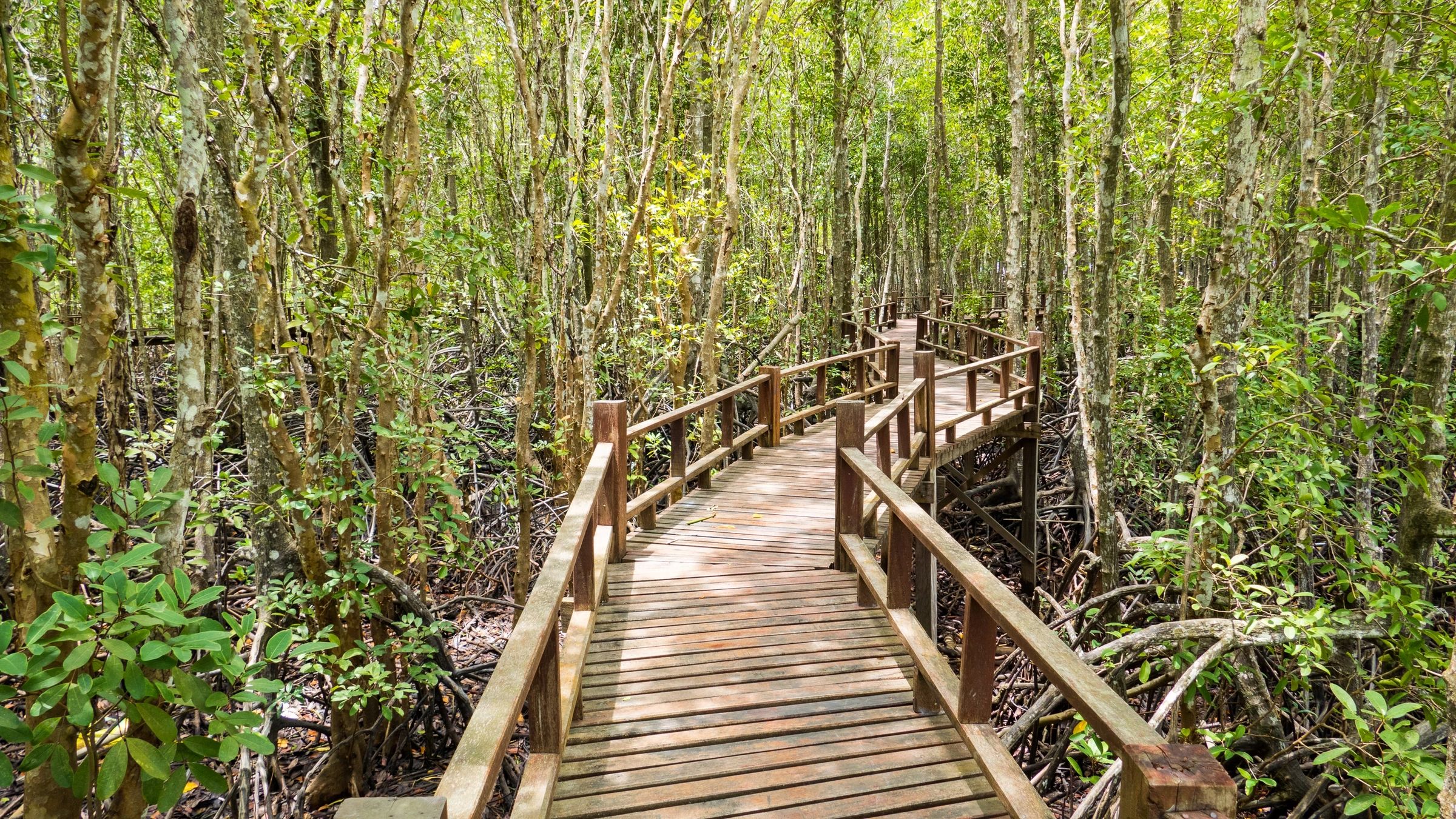 Caregiving as a Sacred Path